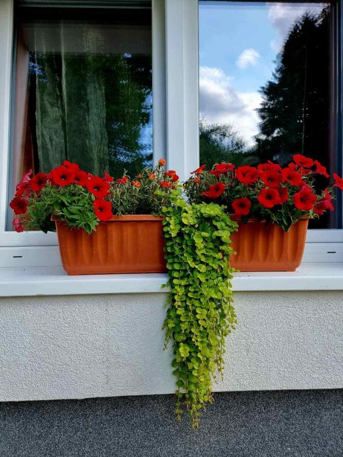Haus Bierherr Mariazell Buitenkant foto