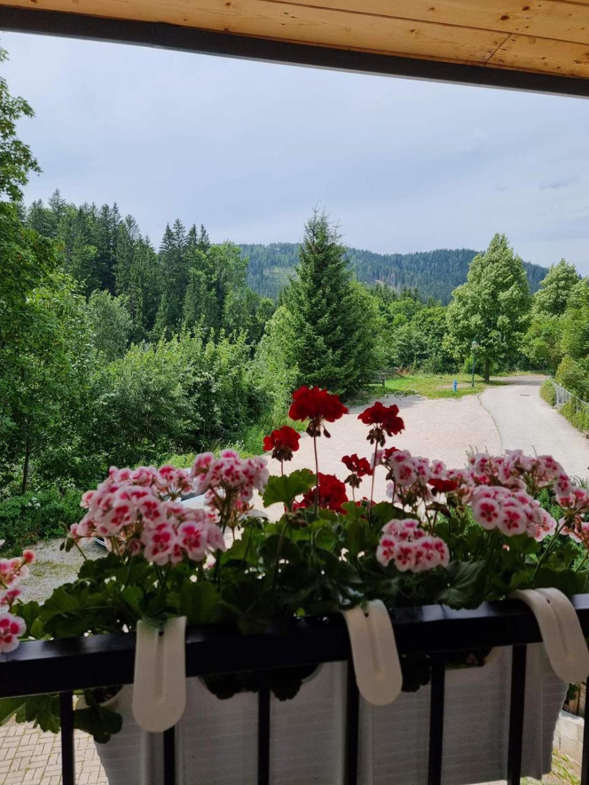 Haus Bierherr Mariazell Buitenkant foto